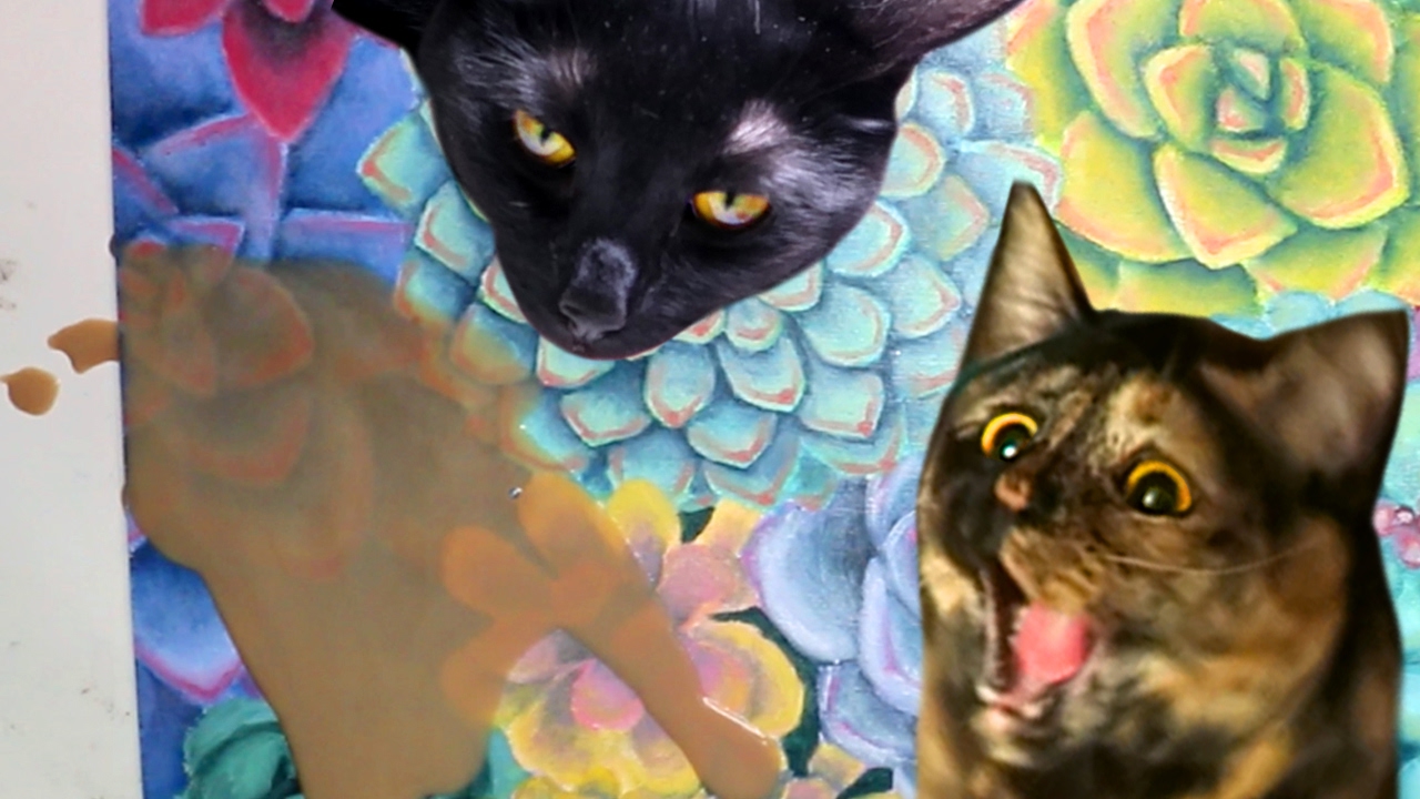 THE JOYS OF CAT OWNERSHIP