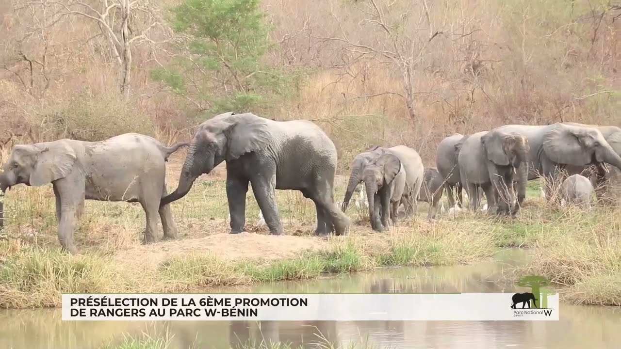 #Rangers au #Parc W BENIN: Présélection de la 6ème promotion