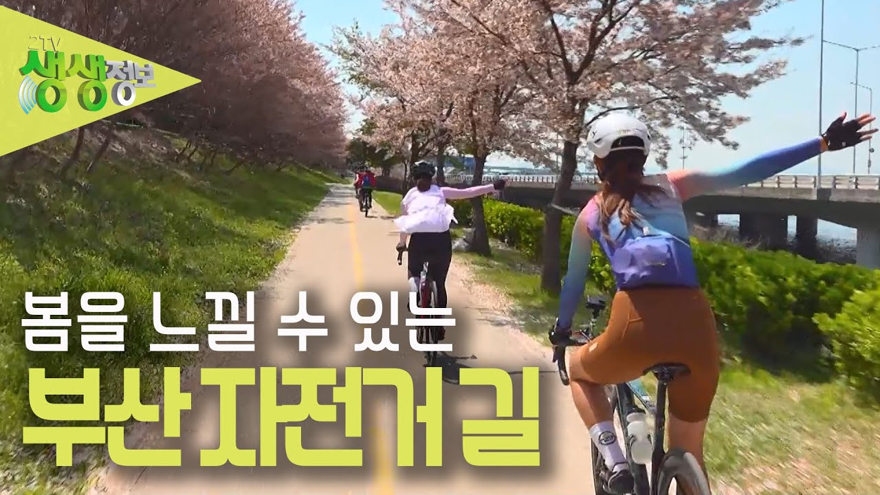 [2TV 생생정보] 강 따라 바다 따라 즐길 수 있는 '부산 자전거 길' KBS 230410 방송