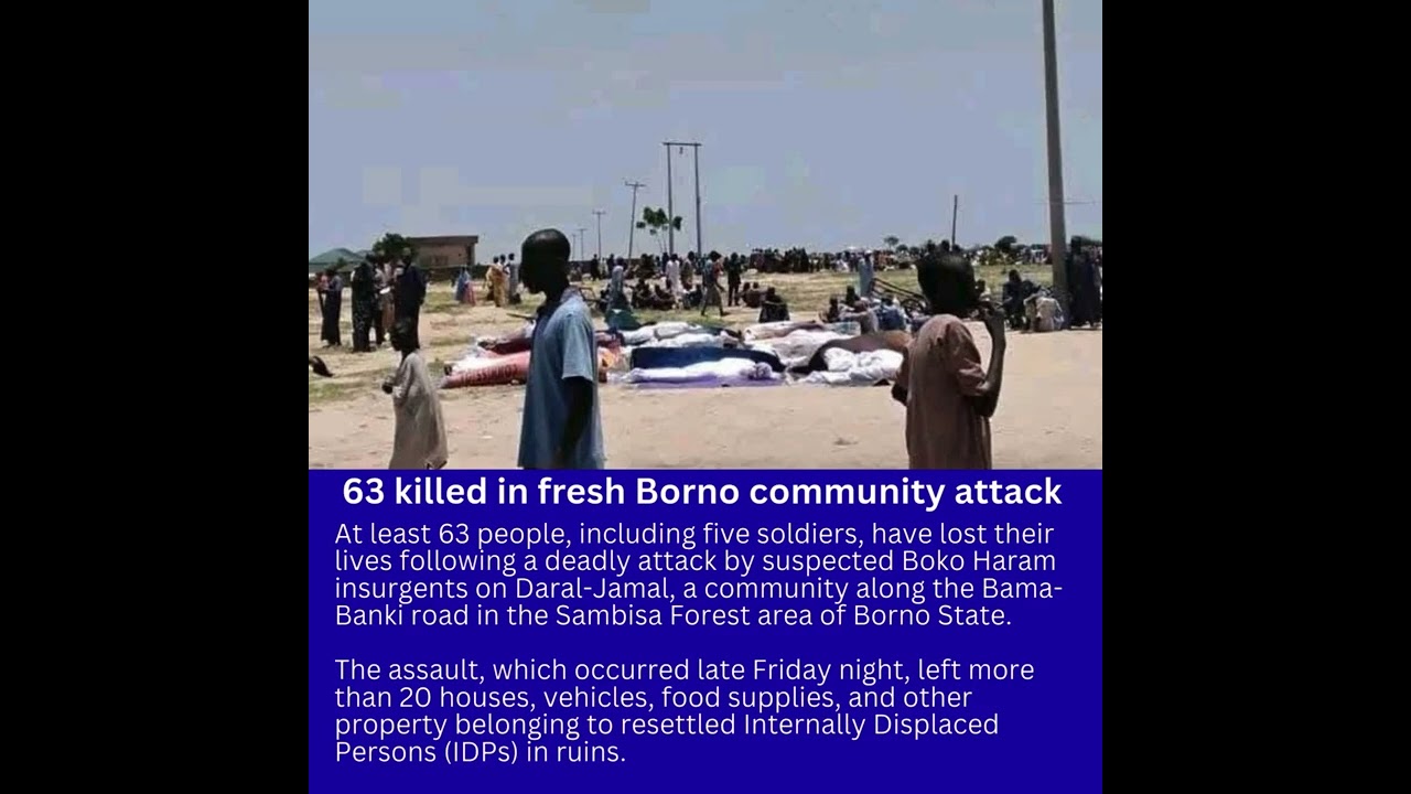 63 killed in fresh Borno community attack