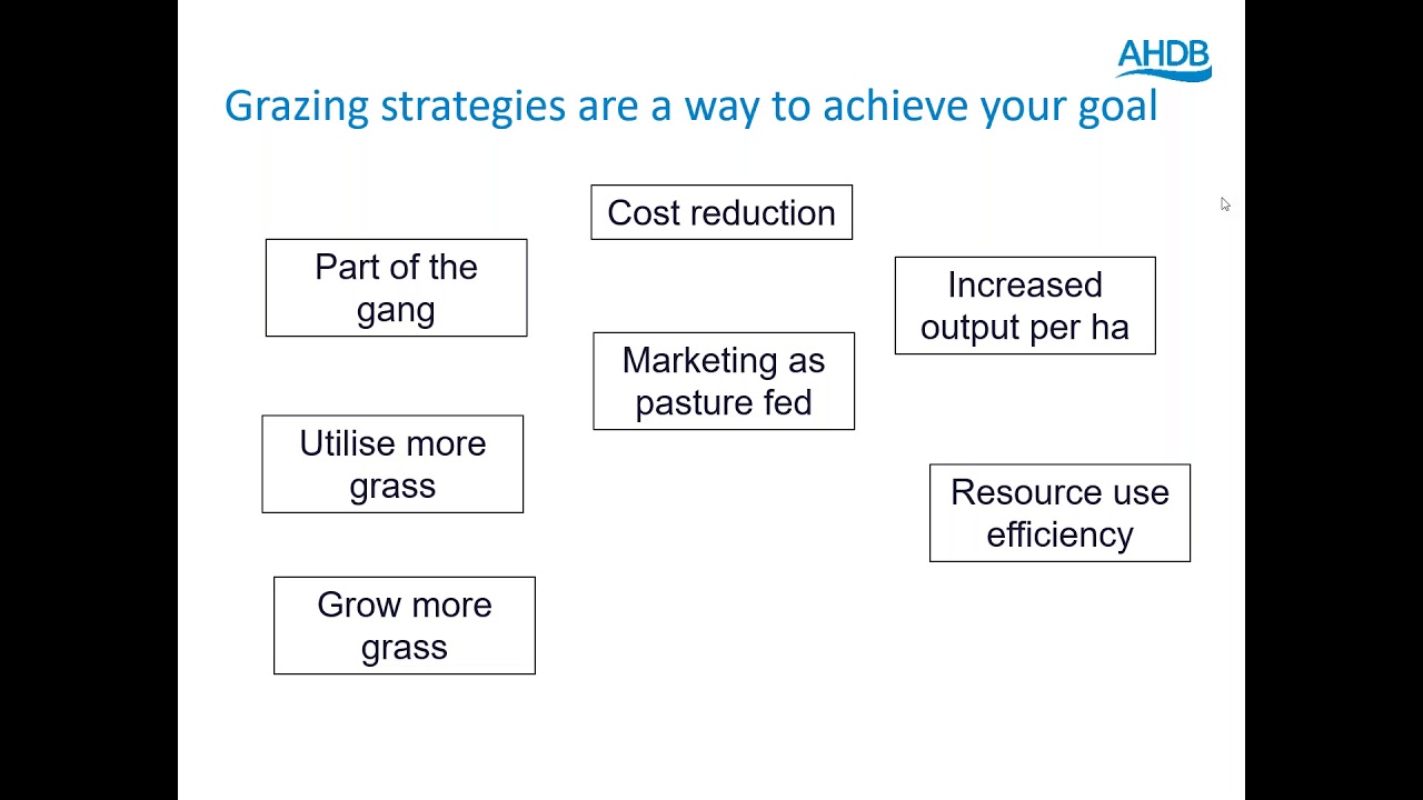 Webinar: How to develop an efficient grazing strategy