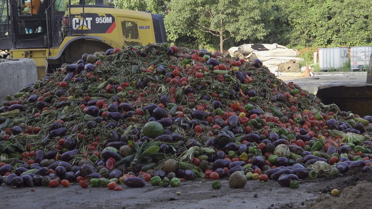 Crazy advanced Food Waste Recycling Technology