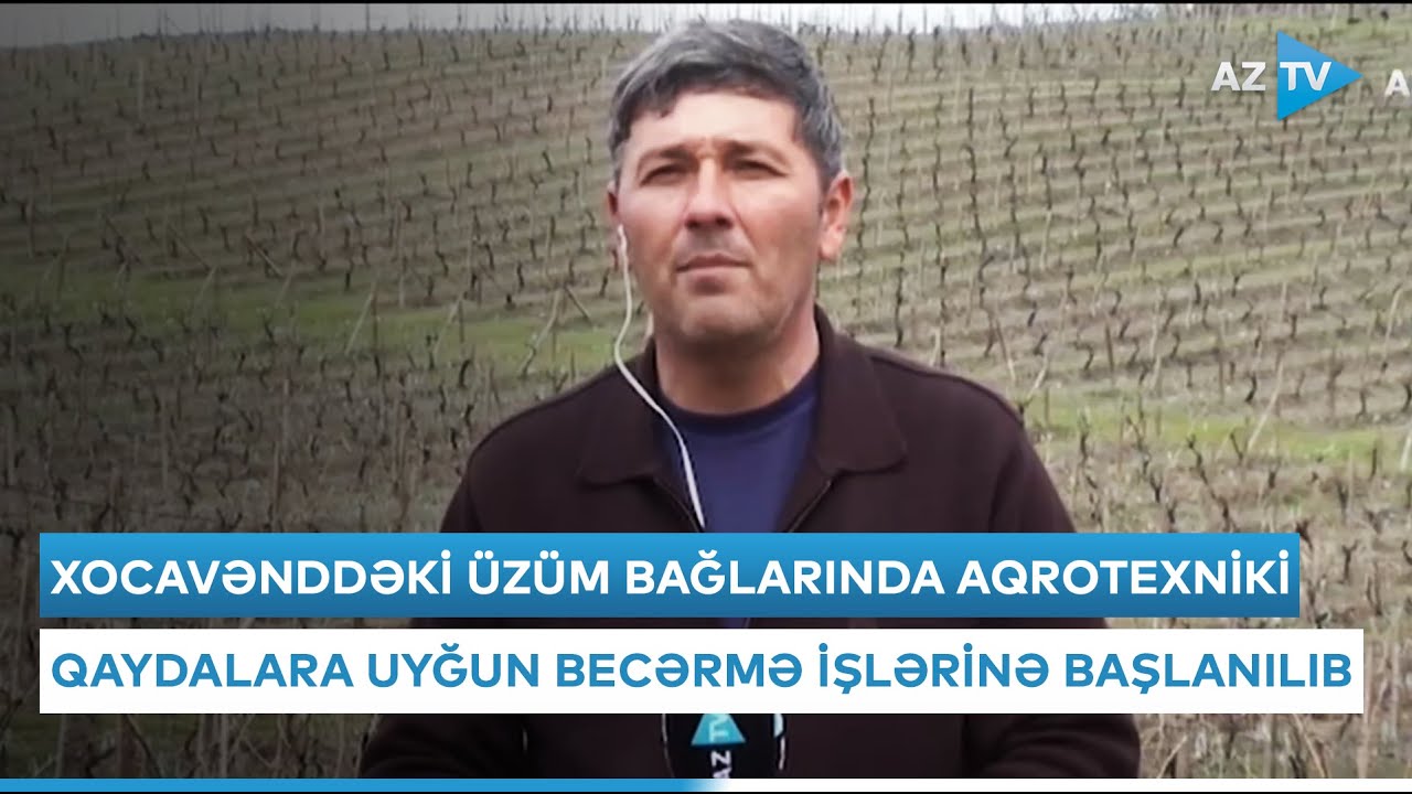 Xocavənddəki üzüm bağlarında aqrotexniki qaydalara uyğun becərmə işlərinə başlanılıb