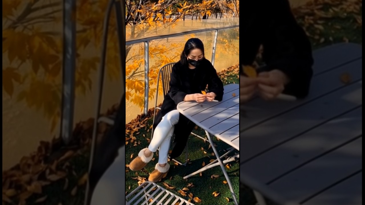 2025년 11월 22일/오늘의 가을을 기록합니다 🍁