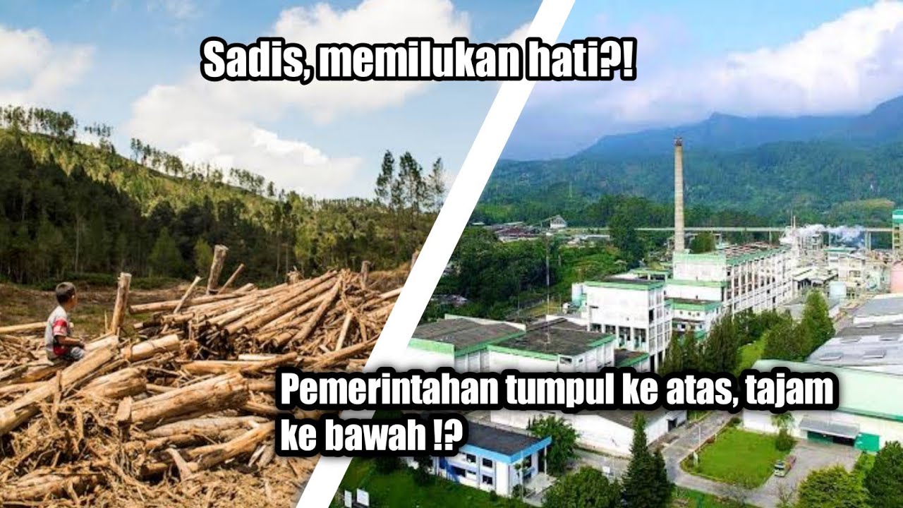 PT Toba Pulp Lestari dan Pelanggaran Hukum-HAM yang Dilakukannya