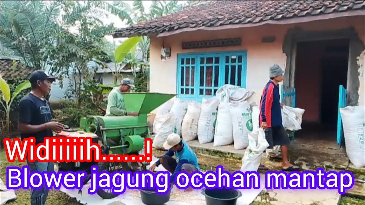 Blower jagung kecil tenaga besar #fypシ゚viral #viralvideo #blowerjagung 