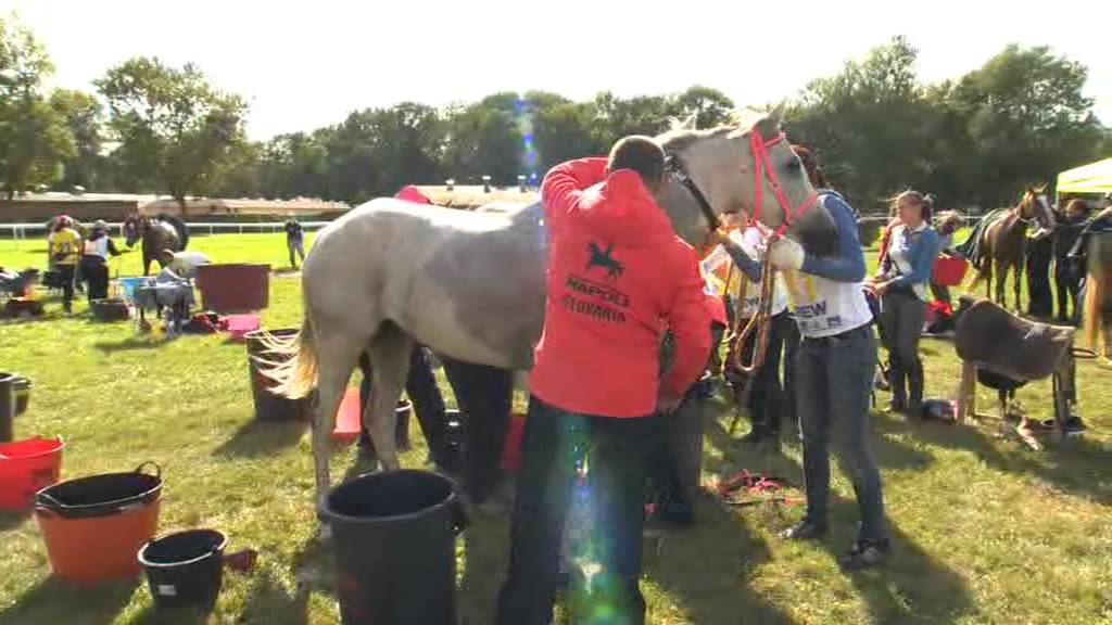 Video Endurance Ride 2012