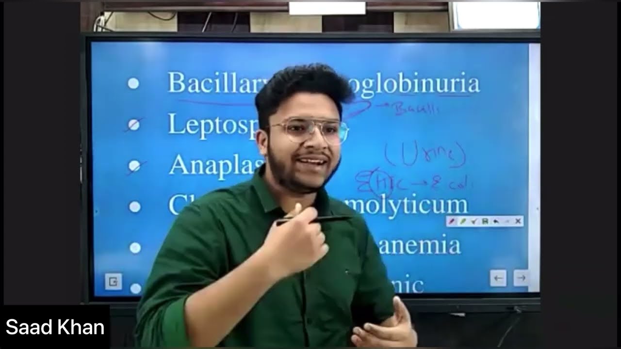 Jaundice | Clinical and Theoretical aspects | Diagnosis and Treatment | Veterinary | Saad Khan