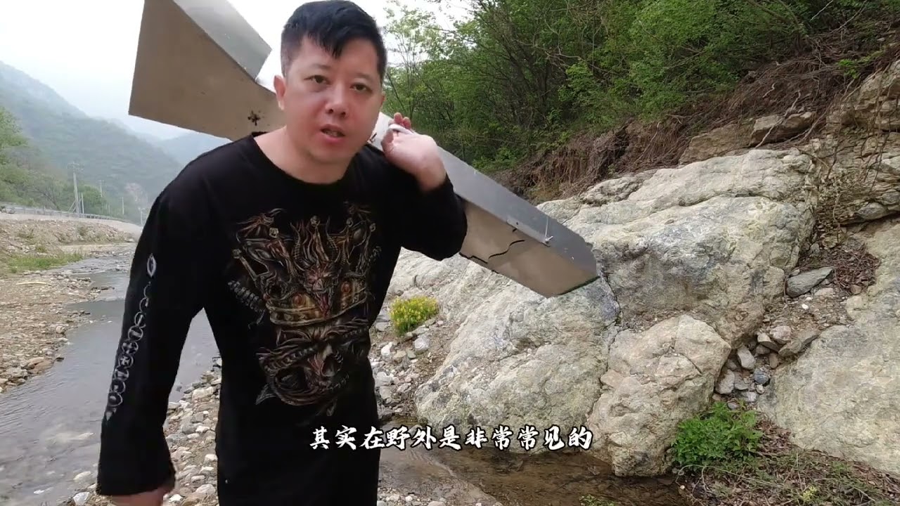 古河道地表发现的黄金矿脉！#黄金矿脉#寻找沙金 #寻找矿脉 #金矿开采 #沙金溜槽