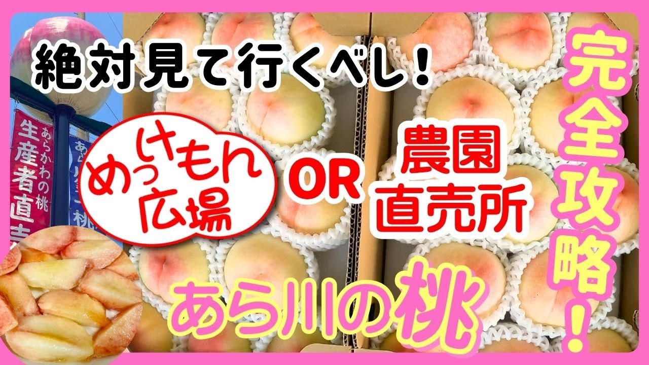【完全攻略】『あら川の桃』を買いに朝イチで並ぶならどっち？「めっけもん広場」or「直売所」【和歌山県桃山町 あらかわの桃 一玉50円!?】