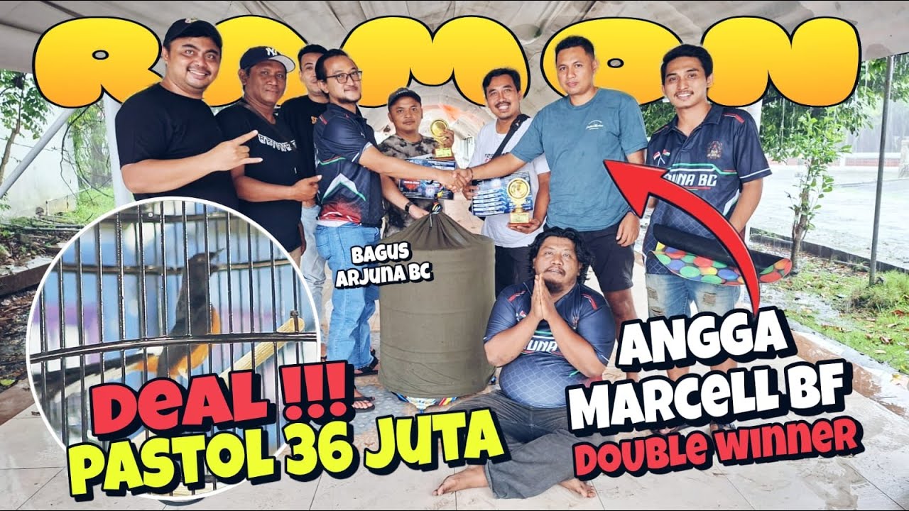 AWALNYA TANYA RAWATAN, ENDINGNYA DI BELI !! PEMULA NEKAT TAKE OVER PASTOL 36 JUTA (ANGGA MARCELL BF)