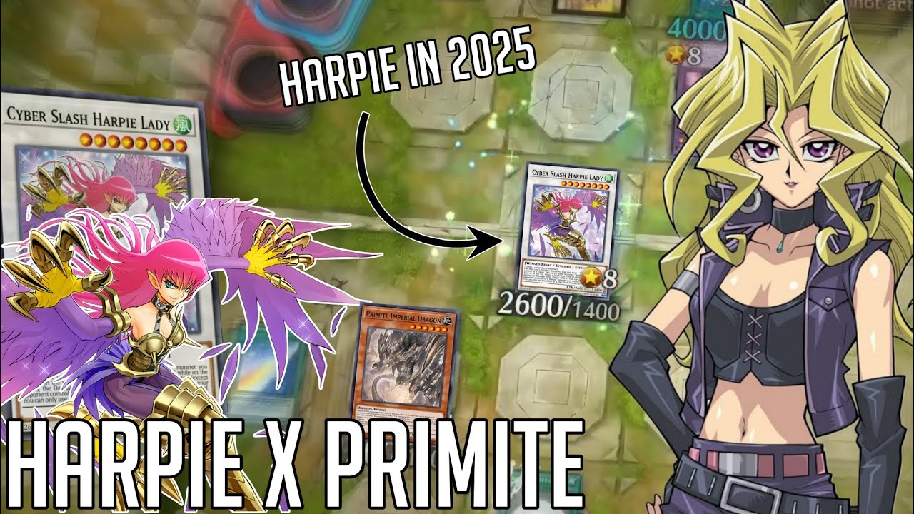 Playing Harpie Lady in 2025 With Primite | Yu-Gi-Oh! Master Duel