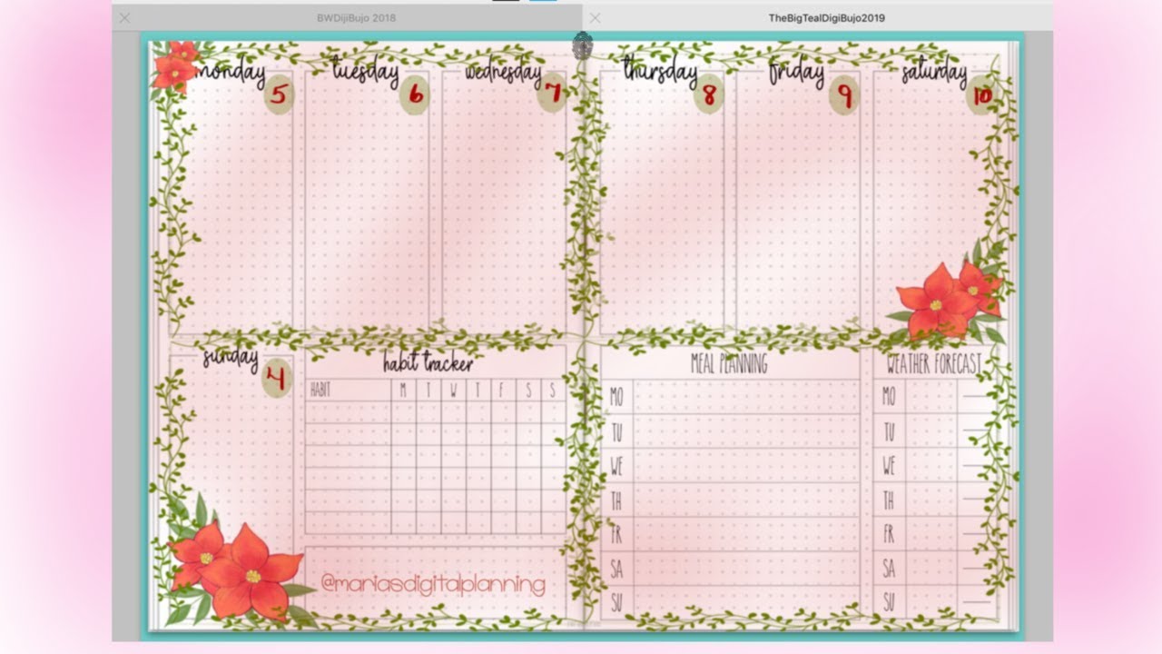 Plan with Me - DigiBujo 2018 & 2019