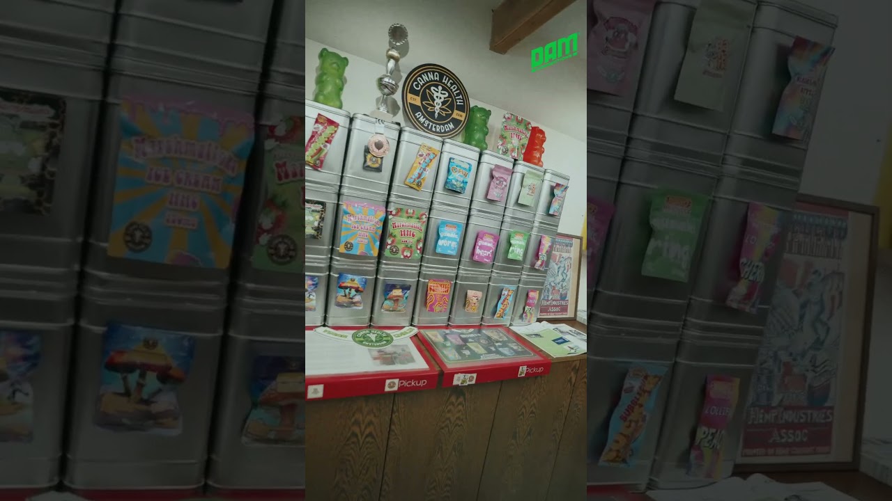 Visiting Canna Health in Amsterdam - CBD Store