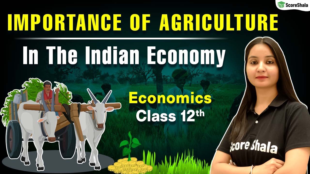 Importance Of Agriculture In The Indian Economy Class 12 - Economics