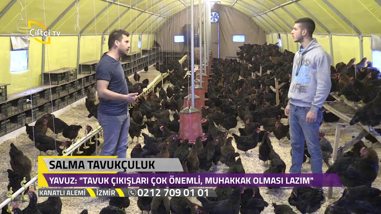 Salma Tavukçuluk - Kanatlı Alemi / Çiftçi TV