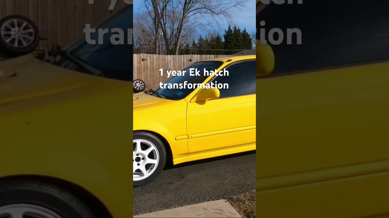The temu ek9 coming along 