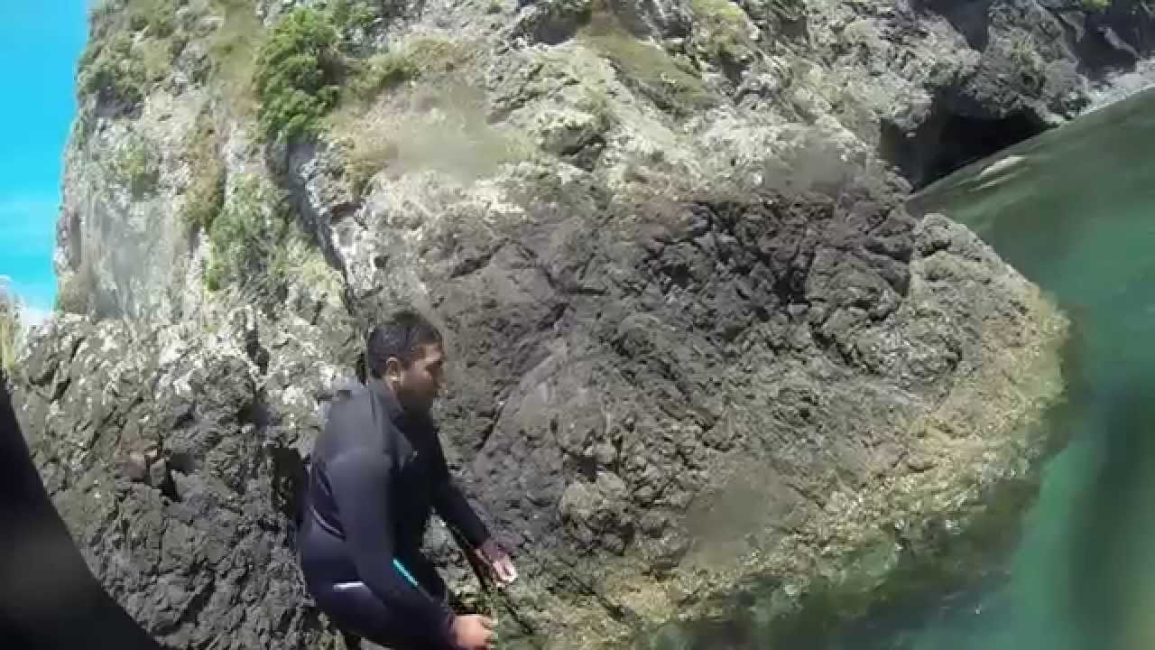 Bay Of Islands Cray Diving