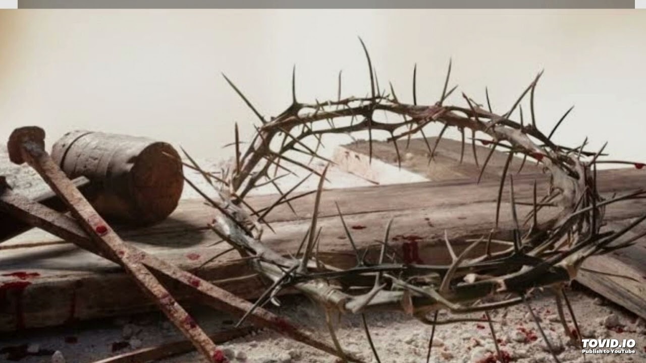 JUSTIFIED BY HIS BLOOD 