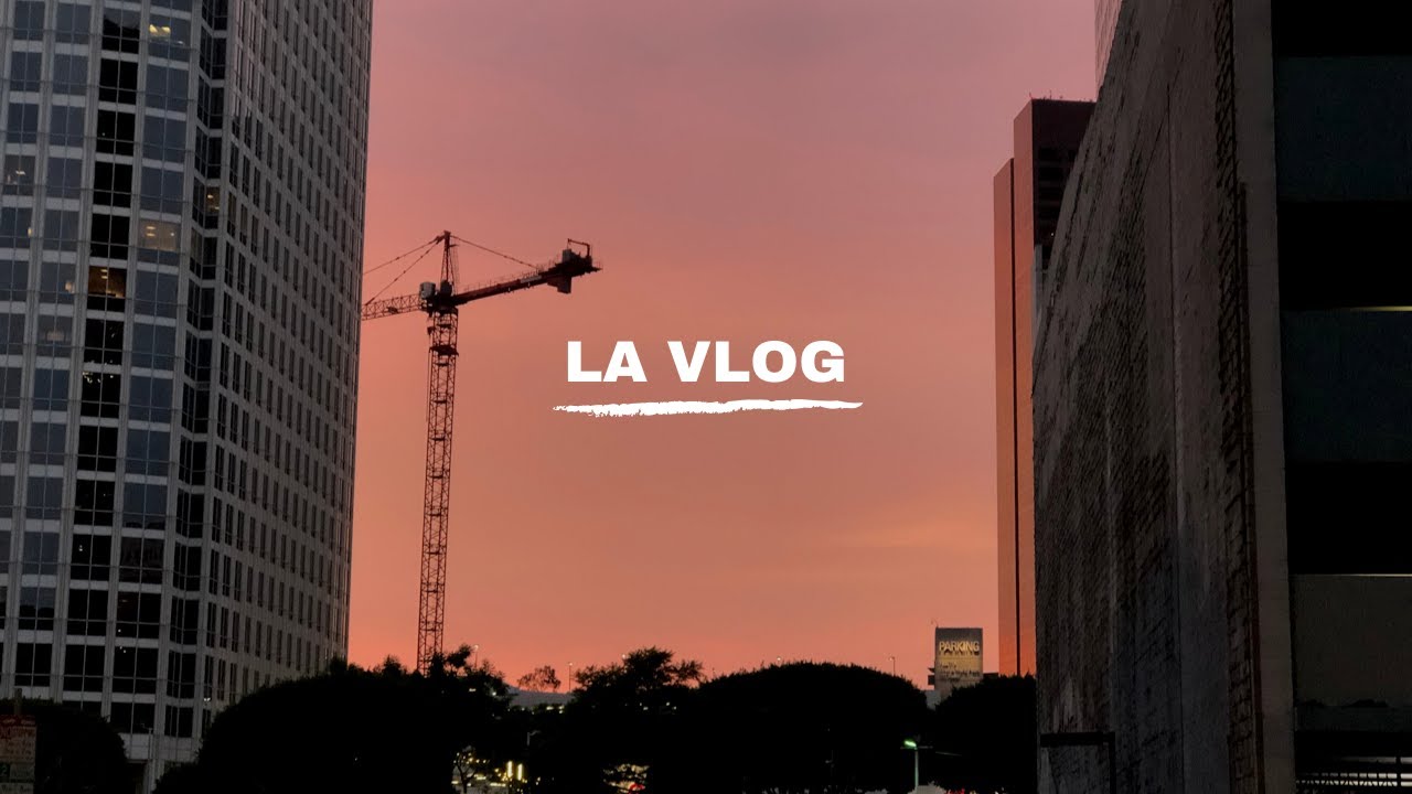 [Dobby in LA. #01] 7개월차 재택근무자의 하루종일 밥먹는 LA 일상 브이로그 | 미국 회사원 일상, LA 브이로그, 내돈내산 루이비통,  뉴포트, 발보아 아일랜드