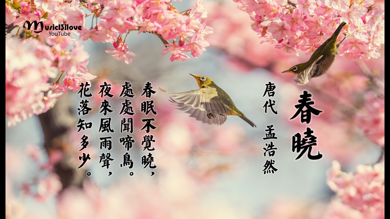 百合二重唱 《春曉秋夜》詩詞：孟浩然 / 李煜  ~ 春眠不覺曉 ... 月寒秋竹冷 ♥ ♪♫*•