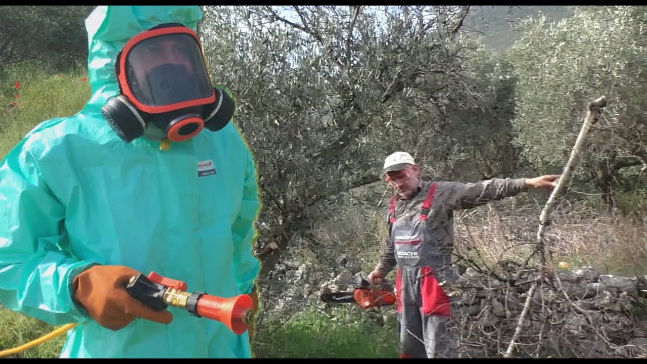 ΠΡΙΝ ΤΟ ΨΕΚΑΣΜΑ ΤΗΣ ΕΛΙΑΣ