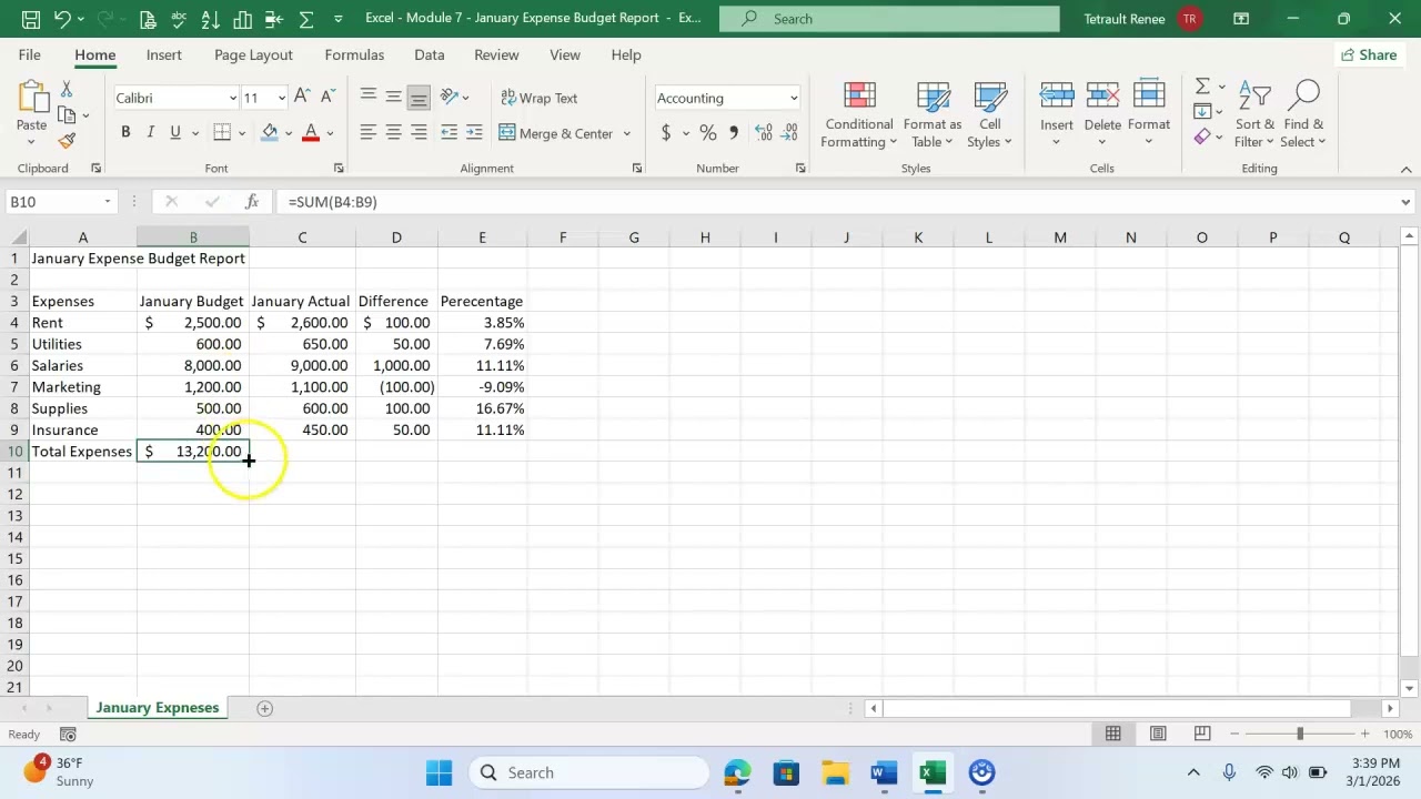 January Expense Budget_Report