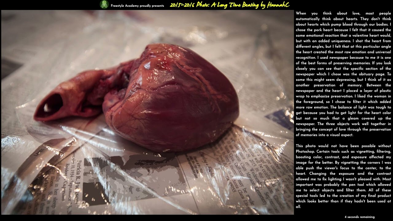 2015 Conceptual Photos