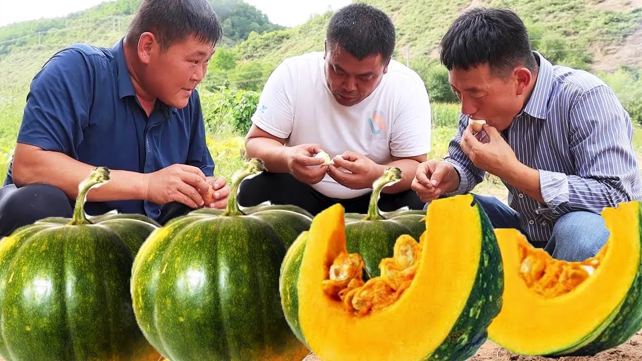 菜园子的各种果蔬都成熟了，兄弟几人来烧南瓜吃，绵软咸香带清甜美味！【黄土兄弟】