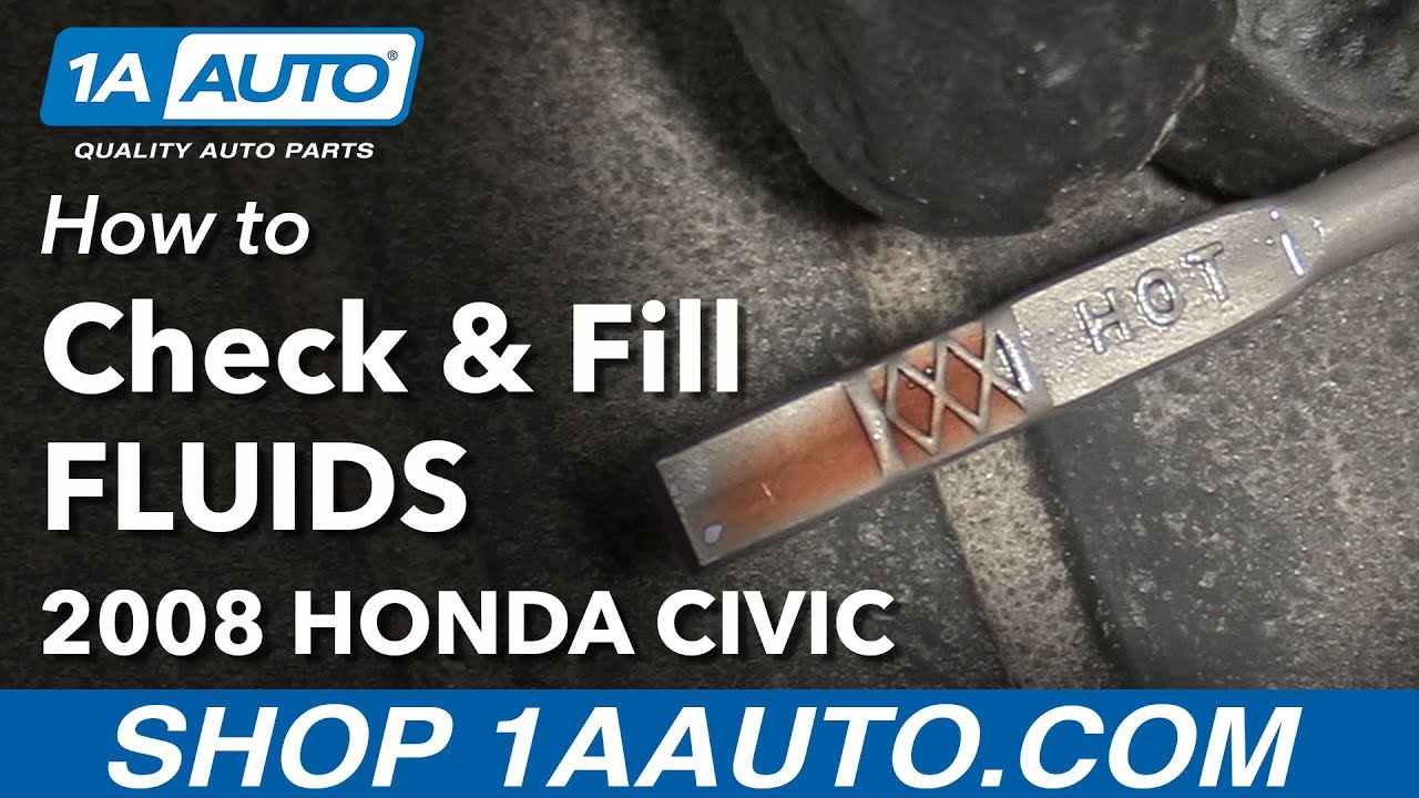 Как проверить и залить жидкости под капотом Honda Civic 05-11