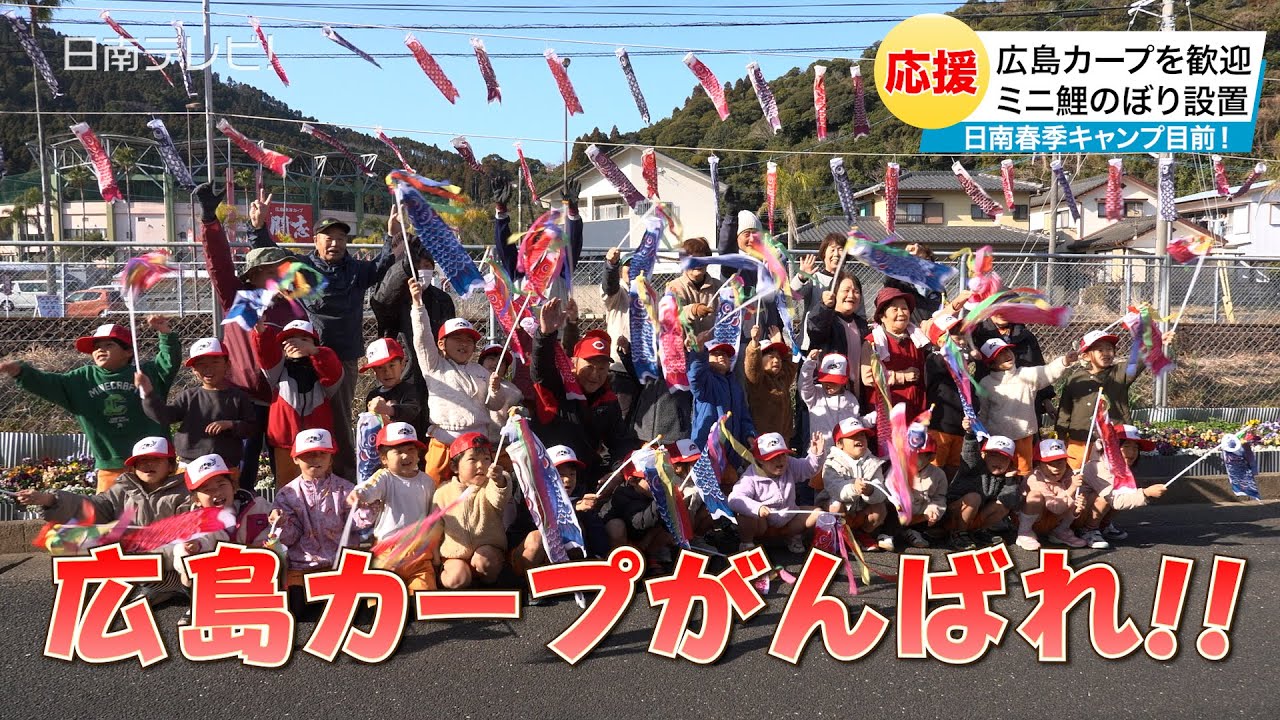 春季キャンプ目前！広島カープを歓迎　日南市で500匹のミニ鯉のぼり（宮崎県日南市）