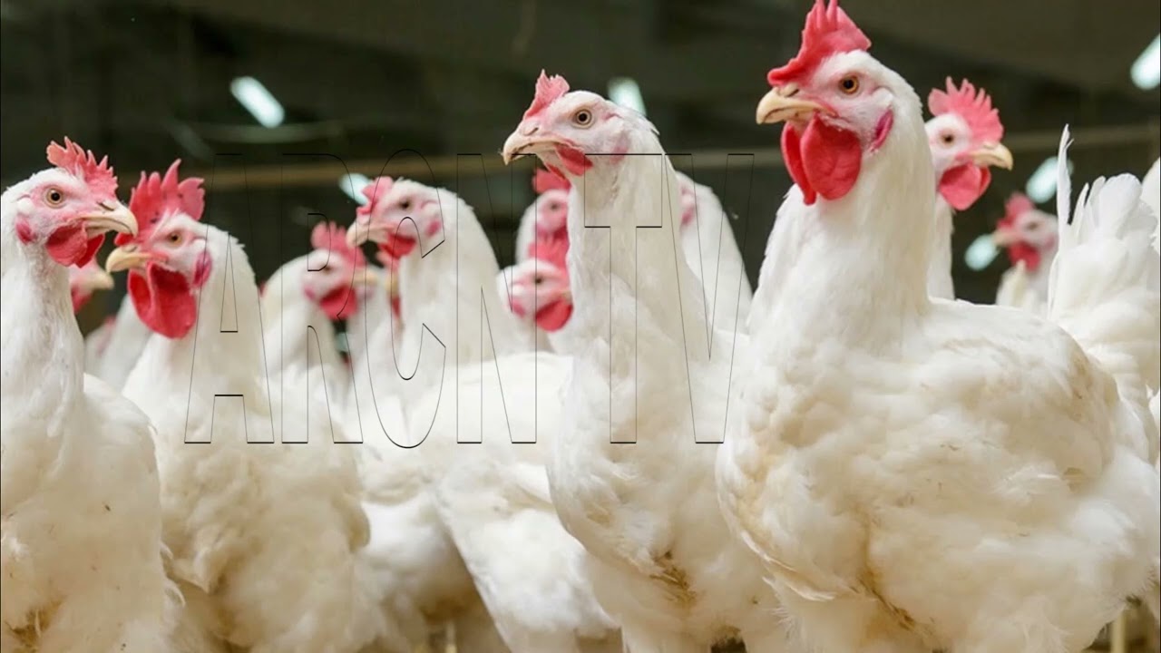 AQUA FARMING: INTEGRATED FISH FARMING