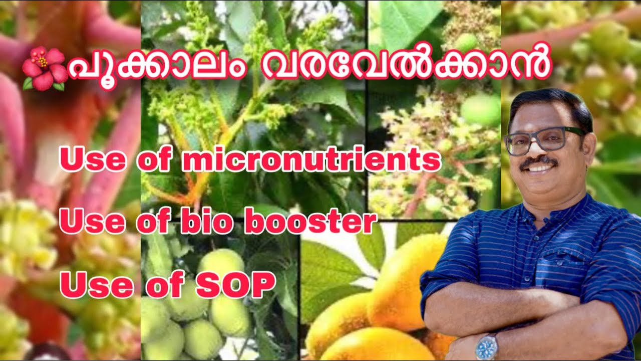 Tips and Tricks for a Blooming Garden ,🌺പൂക്കാലം വരവേൽക്കാൻ