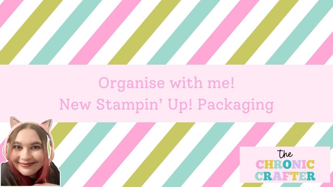Cute as a Bug Suite Collection-Stampin' Up! storage inspiration for the new packaging