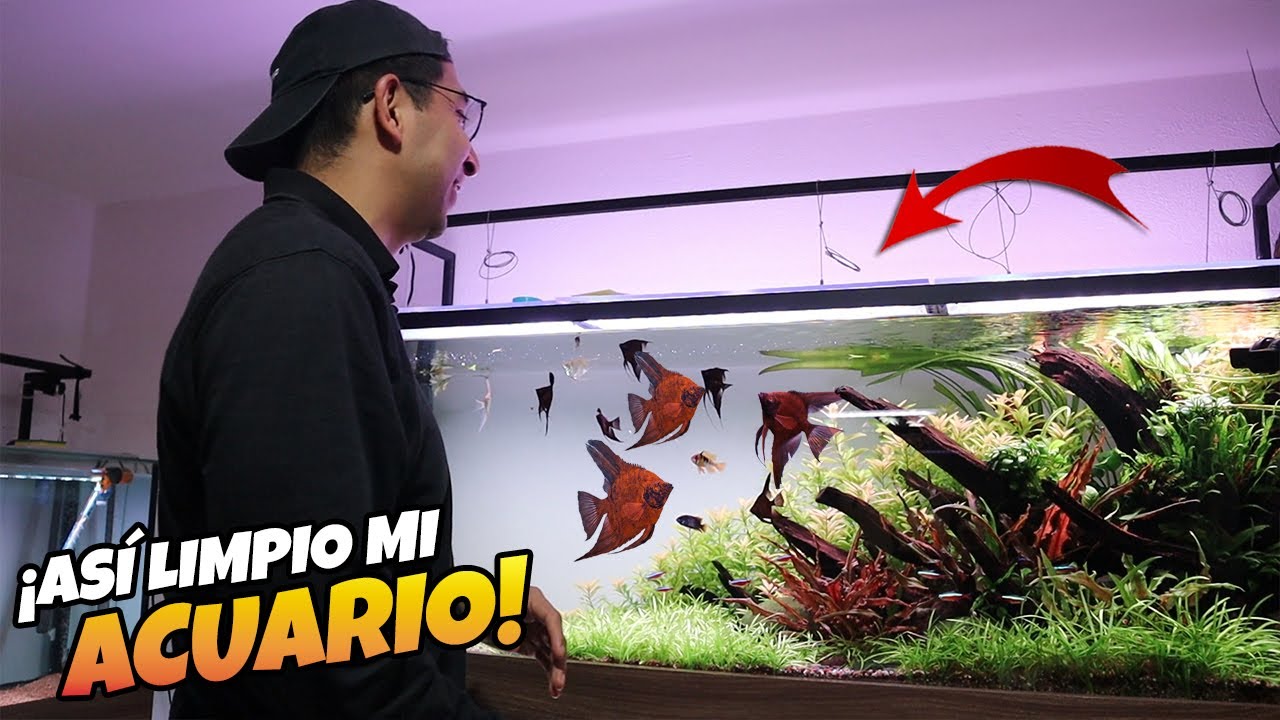 Así LIMPIO mi ACUARIO de 400 LITROS!