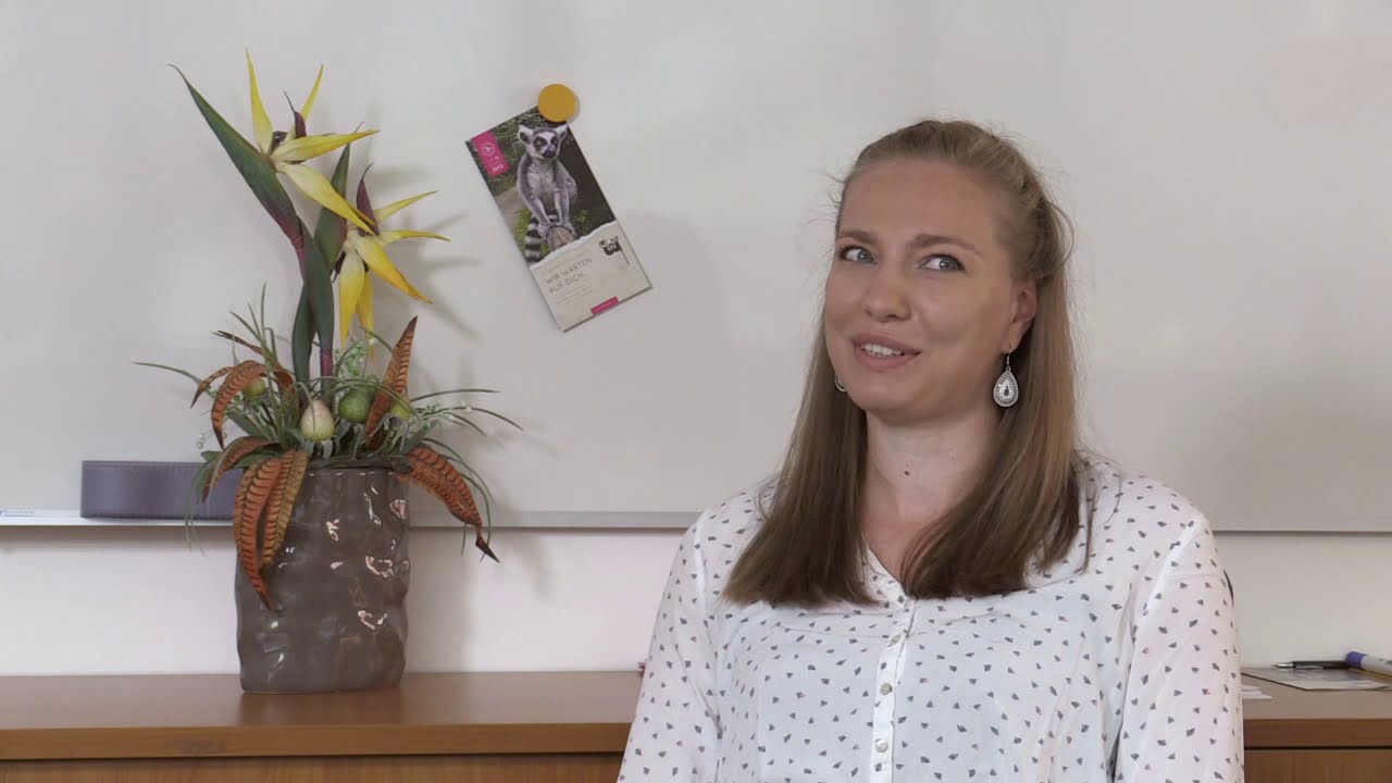 A tool to universally genotype Old world primates and apes