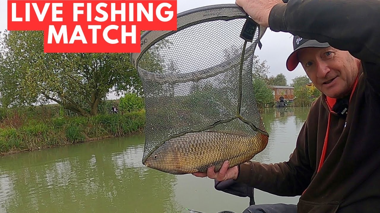 Live Fishing Match Stonham Barns New Lake, #matchfishinguk