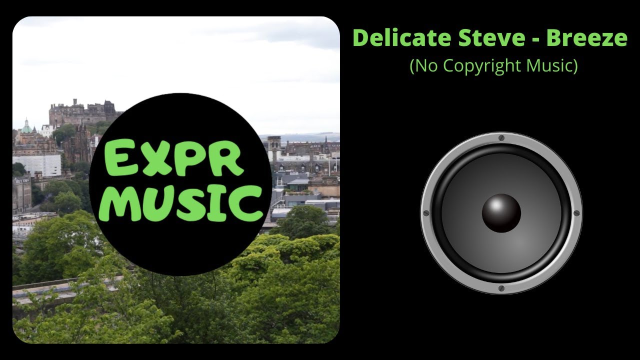 Delicate Steve - Breeze (No Copyright Music)