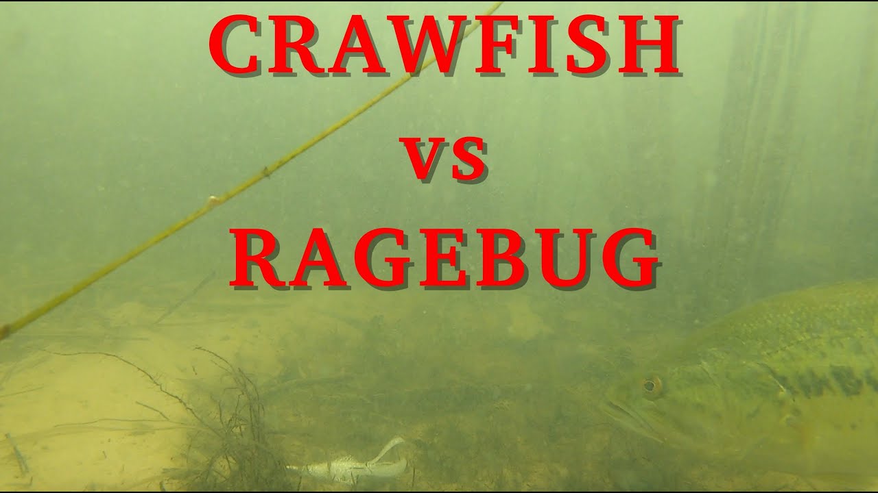 IS A CRAWFISH BETTER THAN A STRIKE KING RAGE BUG? (UNDERWATER FOOTAGE) I WAS BLOWN AWAY!