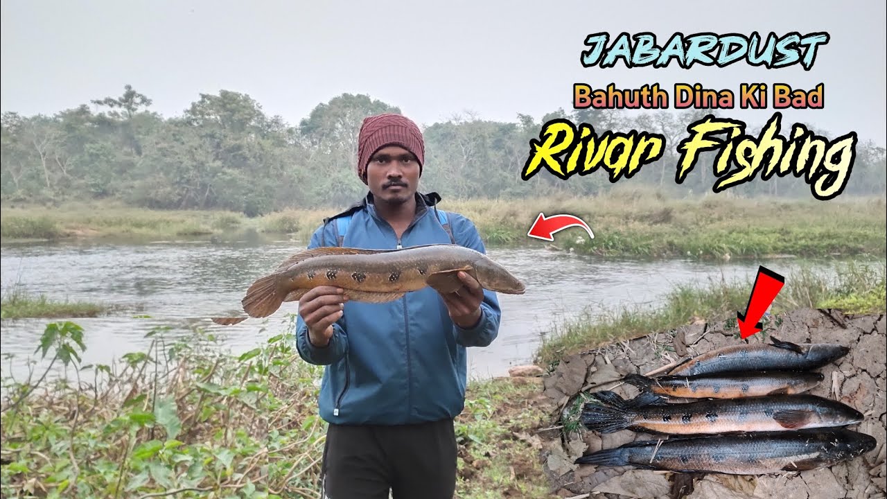 River me fishing video || Snakehead haunting video ||🎣🎣🐬🐬🐬@AnkitFishing95 