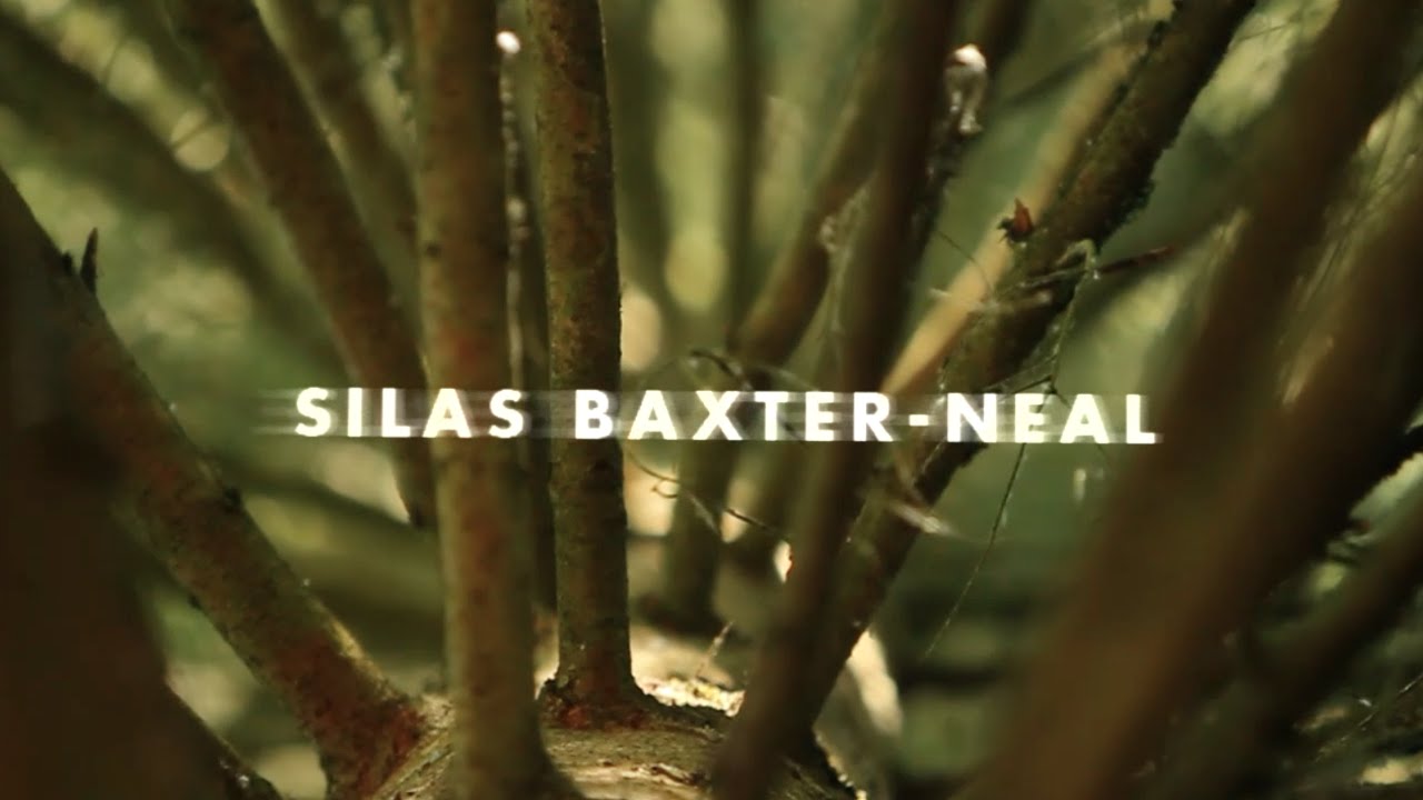 Video Vortex: Silas Baxter-Neal, Perpetual Motion | TransWorld SKATEboarding