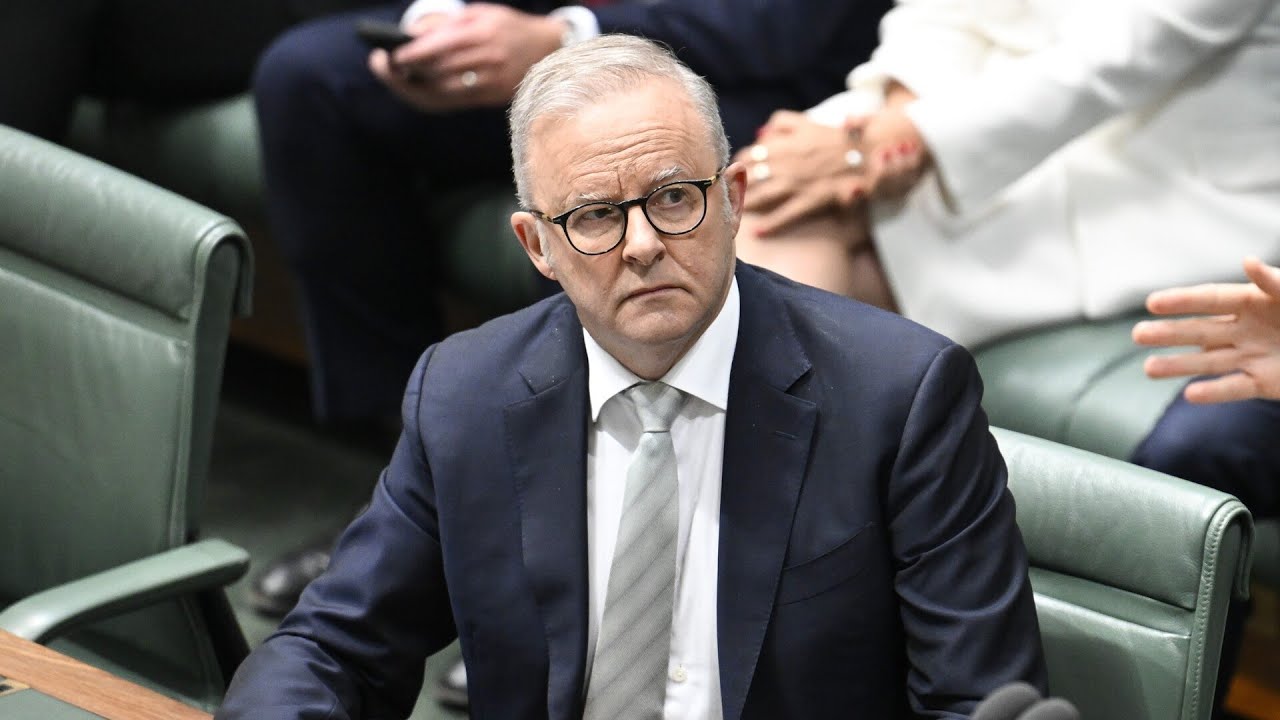 ‘Shambolic omnibus bill’: Albanese to blame for split in Coalition