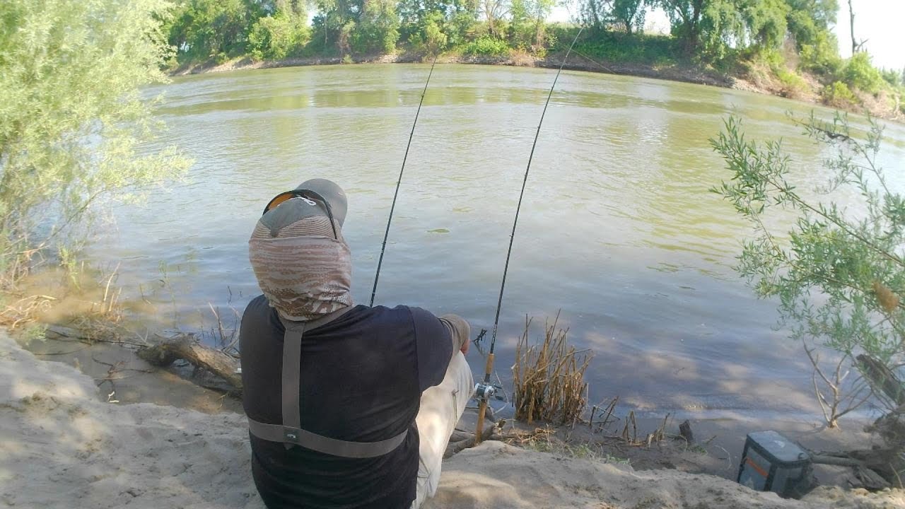 Весенняя рыбалка на полосатого окуня на реке Сакраменто с берега и сардинами