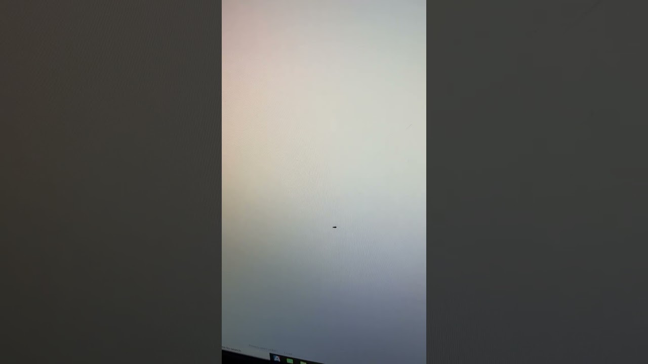 Bug stuck under screen