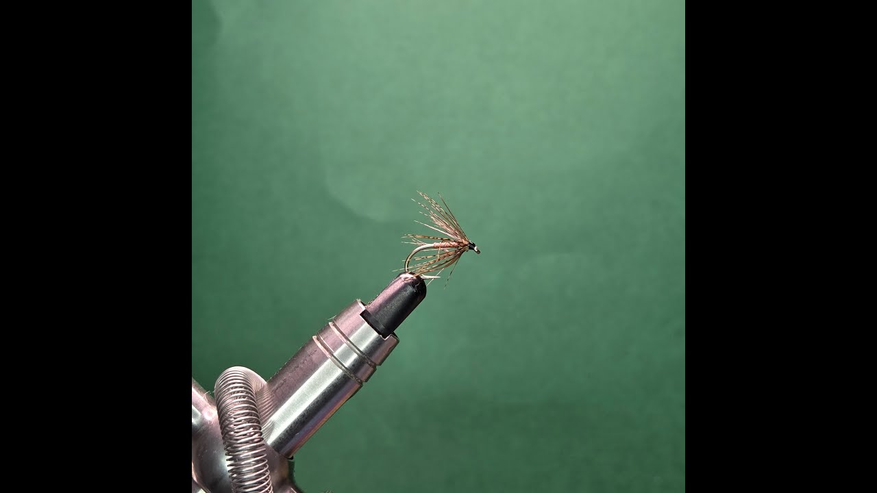Partridge and Copper Spider - One Fly A Day