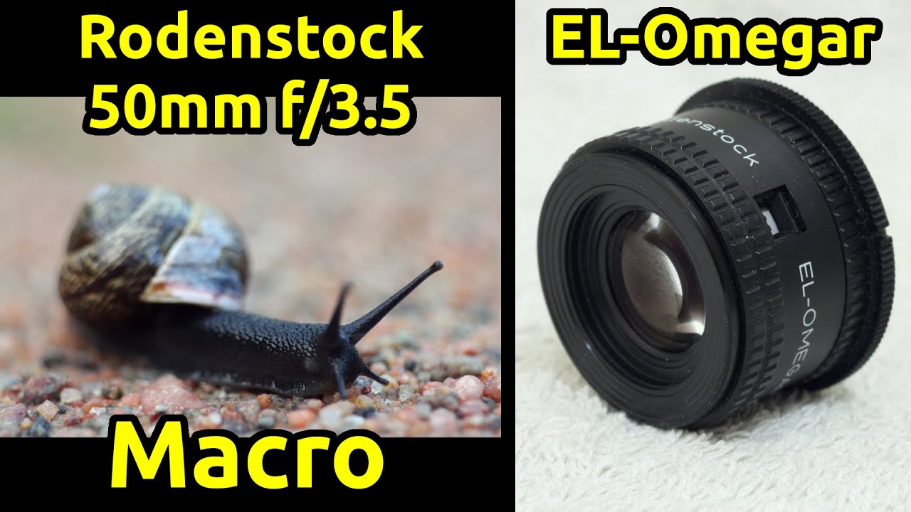 Rodenstock EL-Omegar 50mm f/3.5 - Macro Sample Images