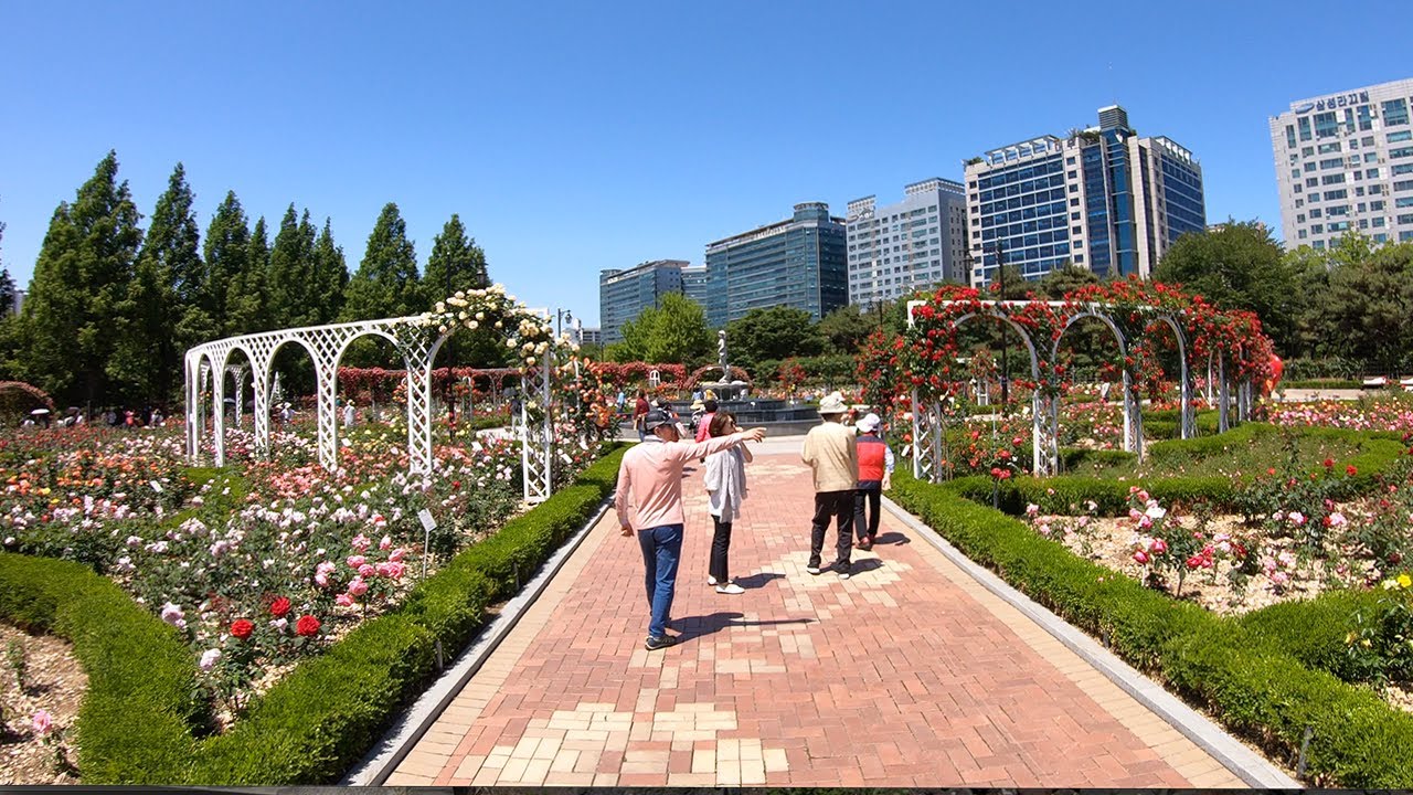 4K Walking Tour South Korea | Ilsan Lake Park in Goyang City UHD