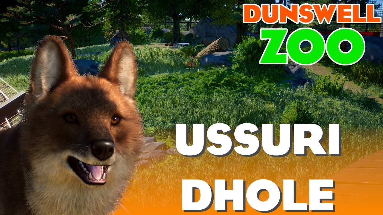 USSURI DHOLE || EP48 || DUNSWELL ZOO || PLANET ZOO