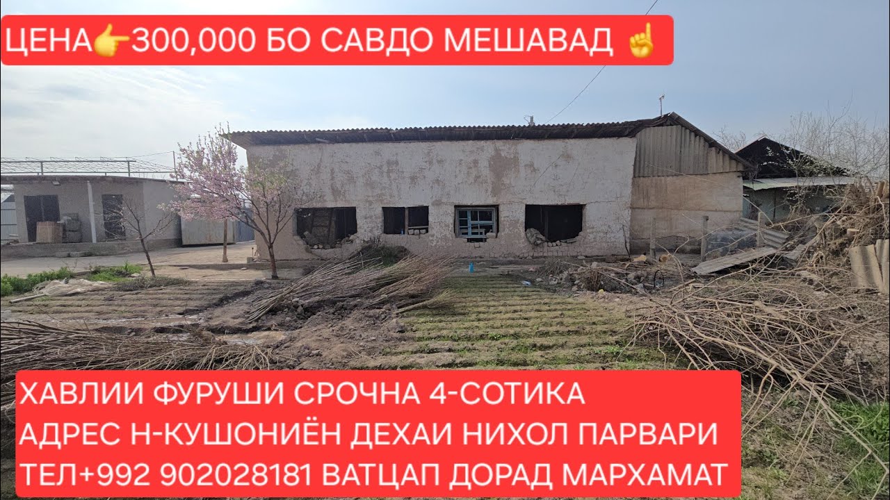 Н-КУШОНИЁН ХАВЛИИ ФУРУШИ ЧИСЛОИ 02,03,2026,СОЛ.