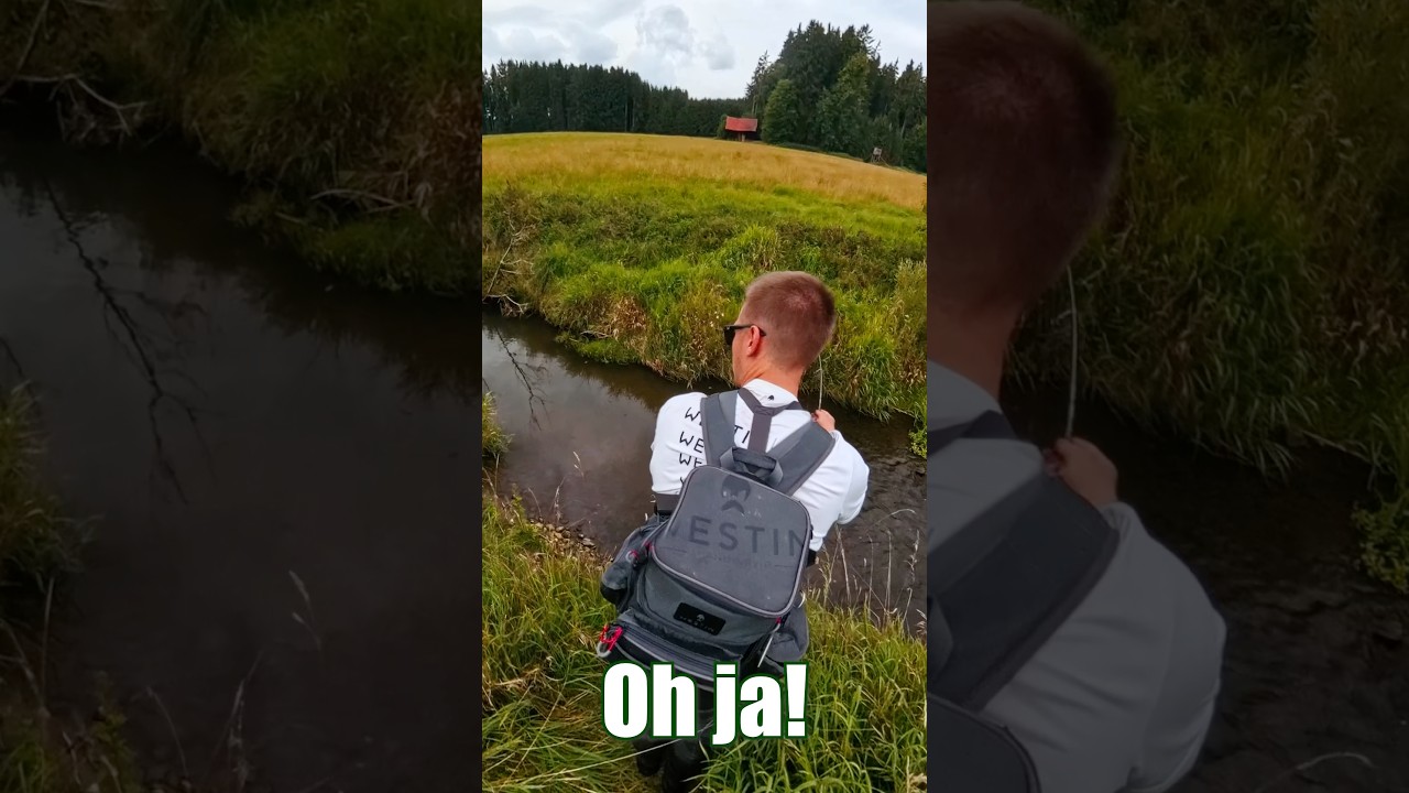 Unscheinbarer Platz rettet meinen Angeltag🙏🏽 #realfishing #shorts